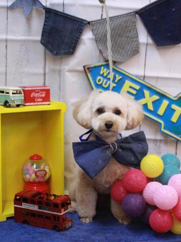 20230426ランチちゃん